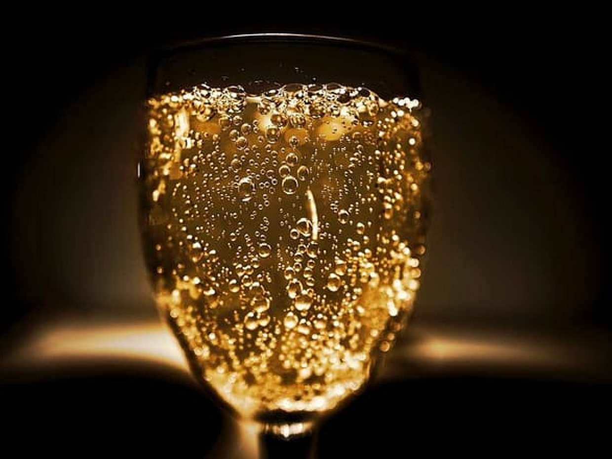 Moet et Chandon Pressoria Champagne Small Group from Paris., photo 2