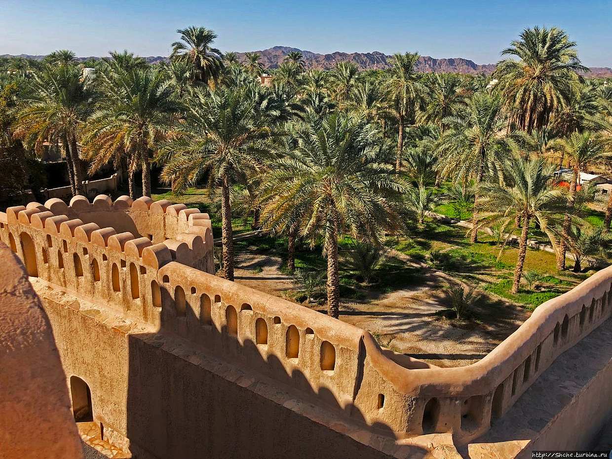 Nizwa, Jabal Al Akther, Birkat Al Mouz Private Tour in Oman, Muscat
