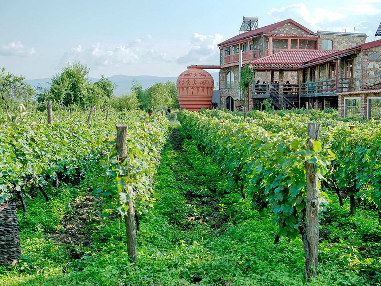 Private Guide for a Trip from Tbilisi to Any Part of Georgia, photo 5