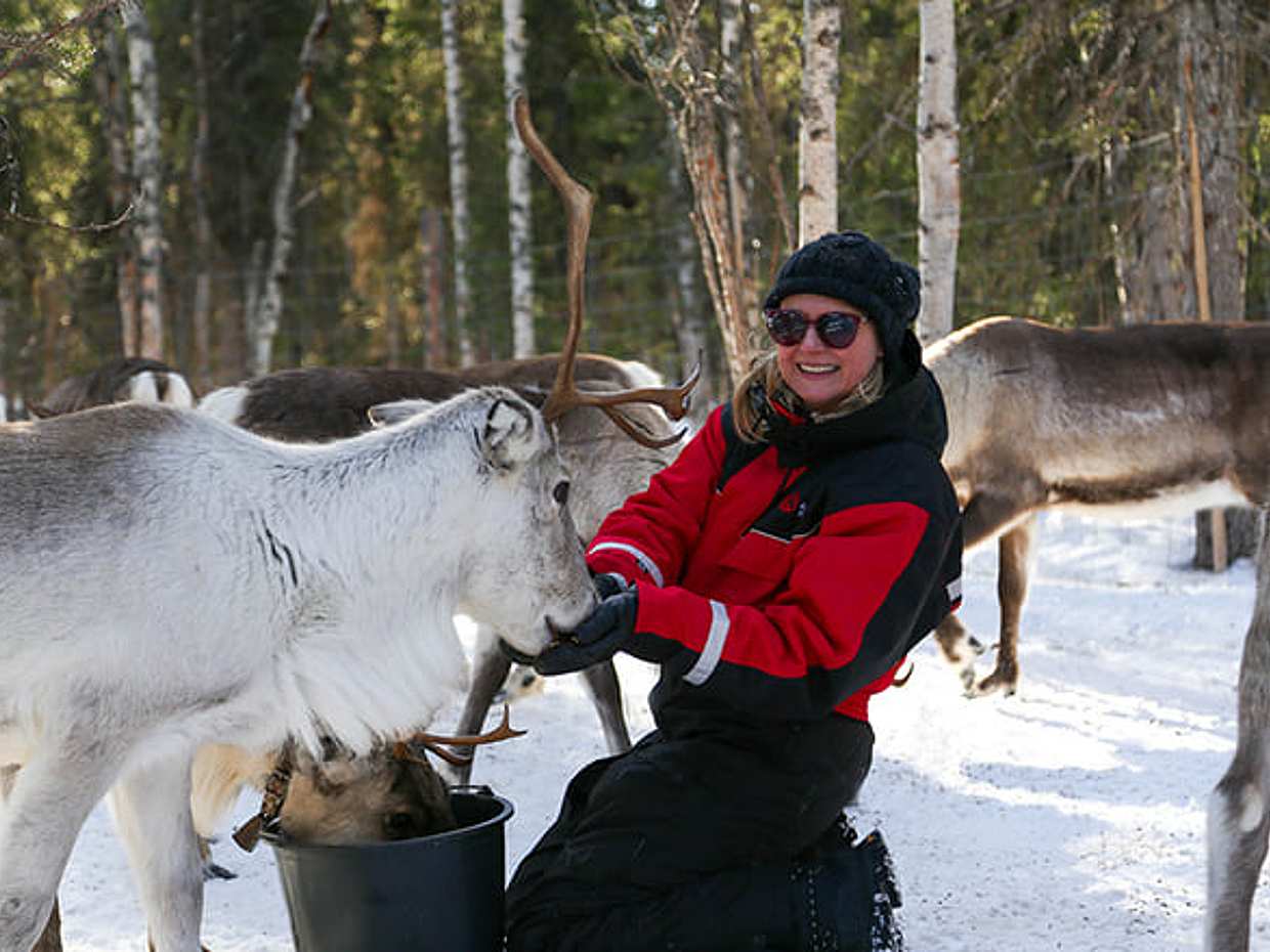 Reindeer Herder’s Day in the Wilderness with a Snowmobile sled, Levi