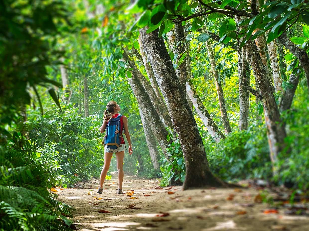 Cahuita National Park and Banana Plantation Tour from Limon in Costa Rica