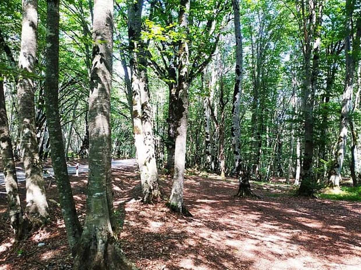 "Caminhada de Aventura: Lagos Abudelauri saindo de Tbilisi na Geórgia", photo 5