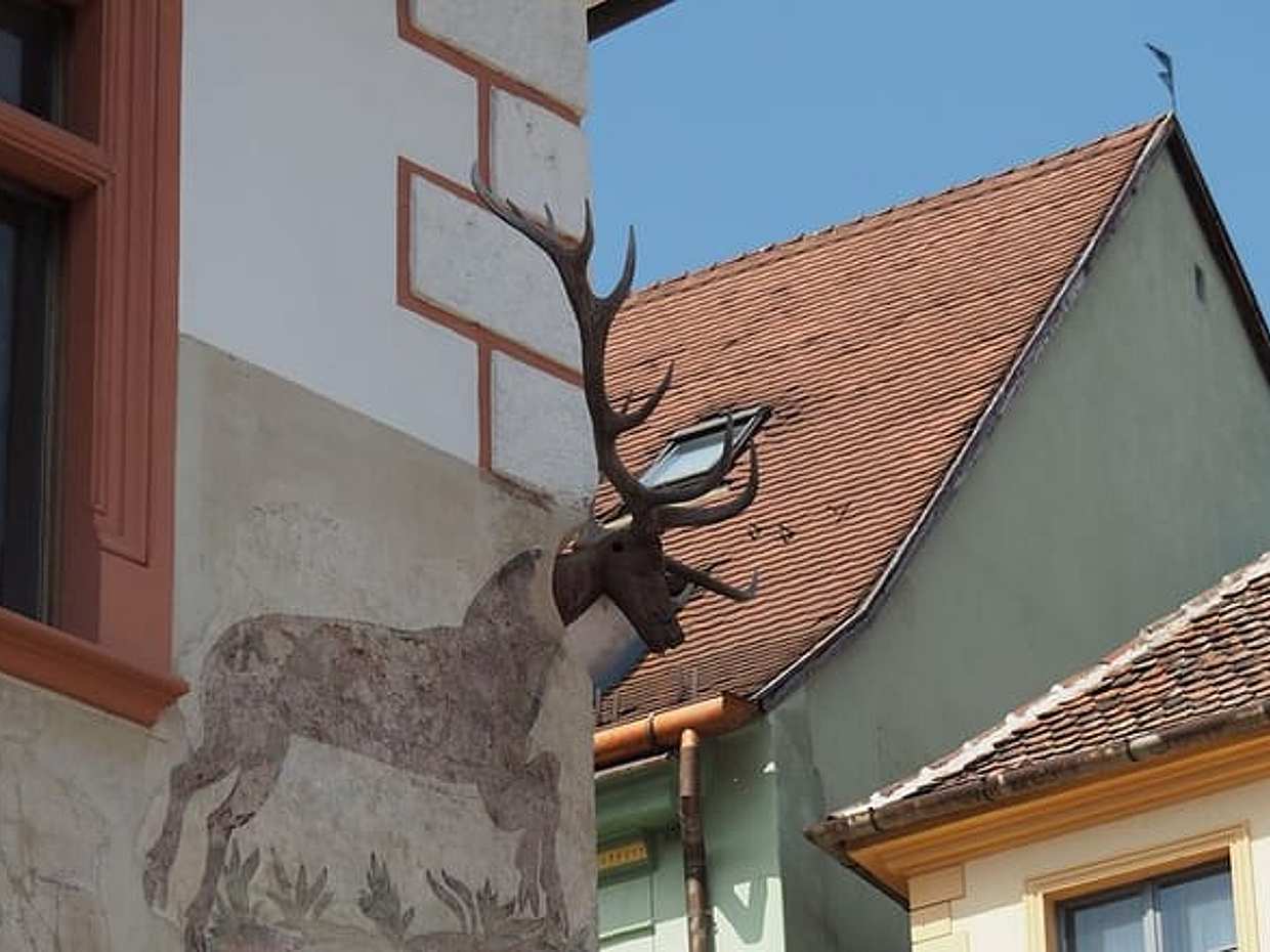 Kleingruppentour Sighișoara, Burg Rupea und Viscri – Tagesausflug ab Brașov in Rumänien, Brașov, photo 3