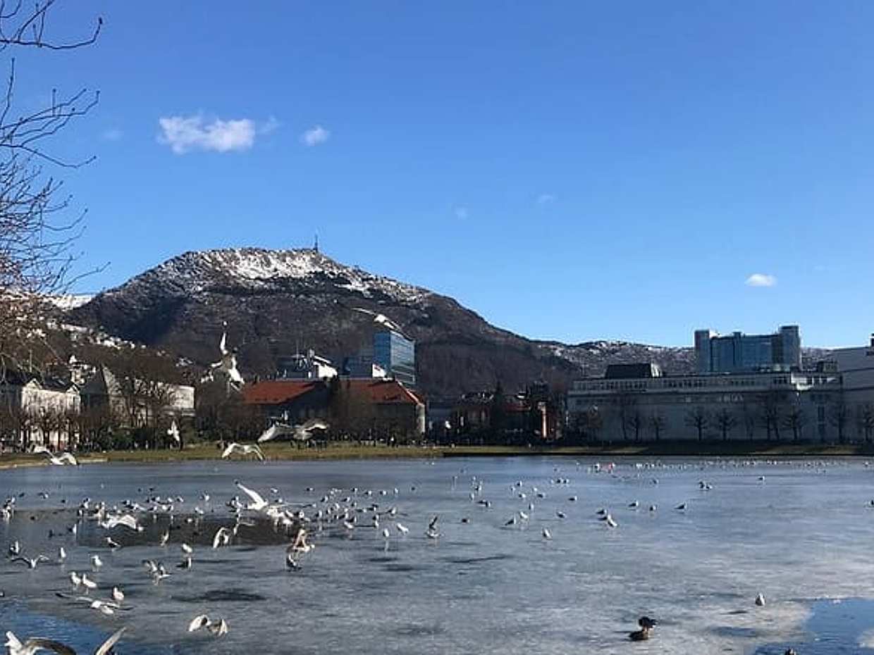Zero Emission Bergen City Tour By Car in Norway