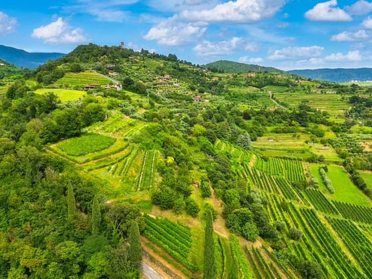 Franciacorta Wine Region & Lake Iseo Cruise From Milan: A Wine-fueled Escape With Tastings And Enchanting Landscapes, photo 5