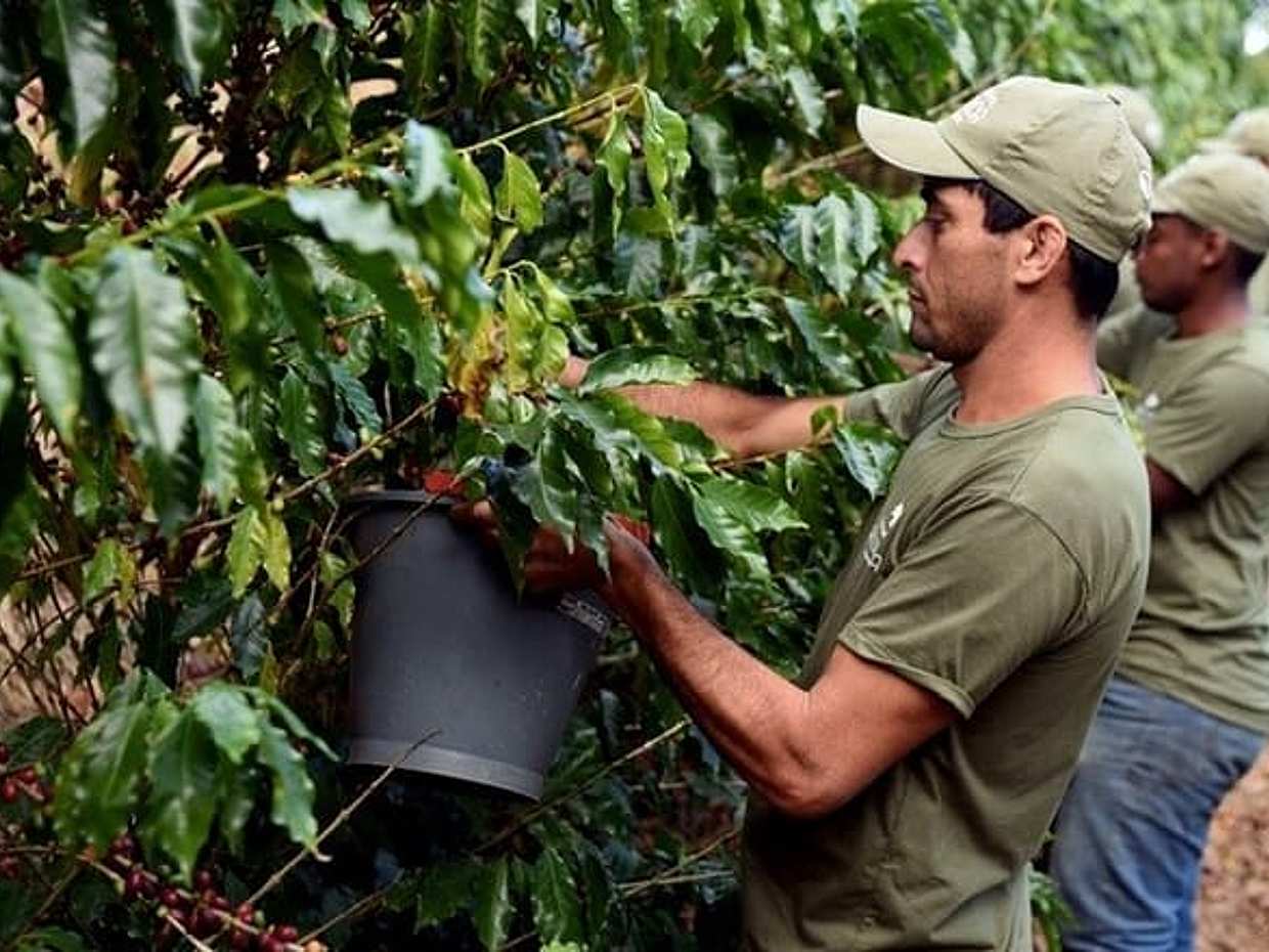 Rural Coffee Farm Tour with Breakfast & Lunch - Roasting & Tasting Experience in Brazil, Rio de Janeiro, photo 3