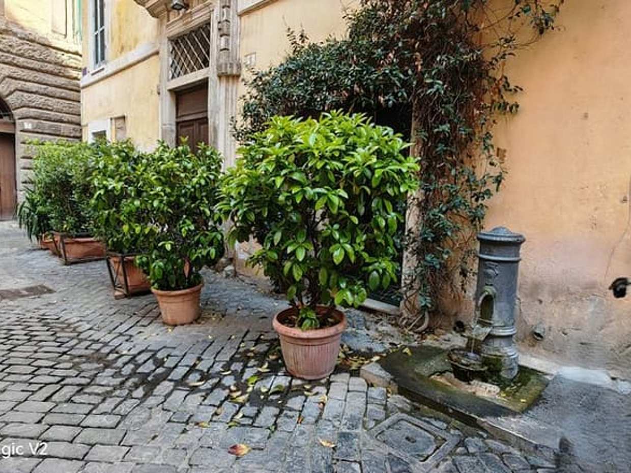 Trastevere Street Food An Authentic Roman Food Quest, photo 5