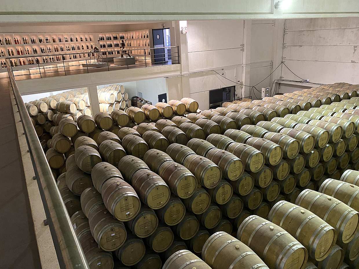 Lisbon´s Private Fernão Pó Area Wine Tasting in Portugal
, photo 3