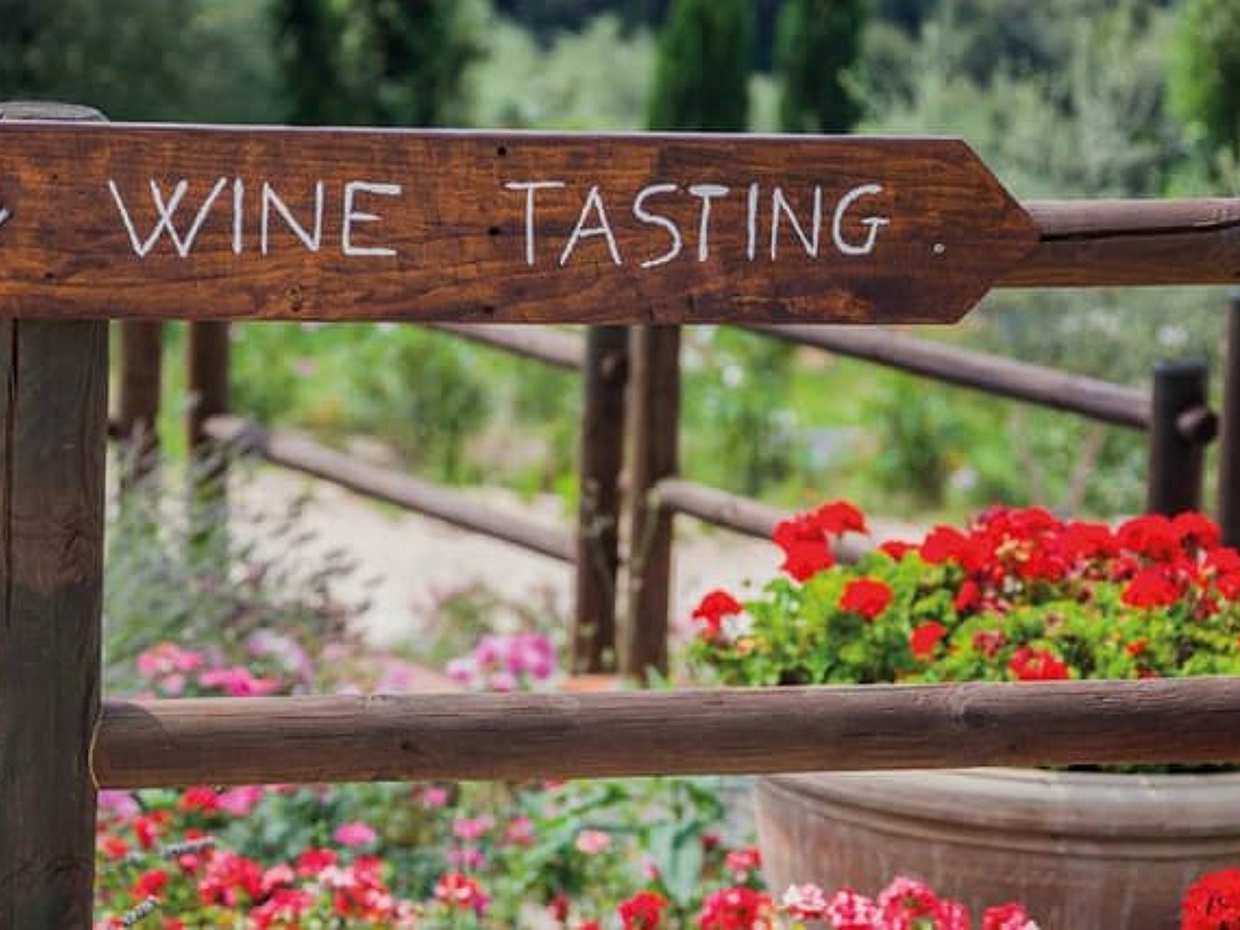 Brunello di Montalcino: Prohlídka vína ze San Gimignano v Itálii, photo 4