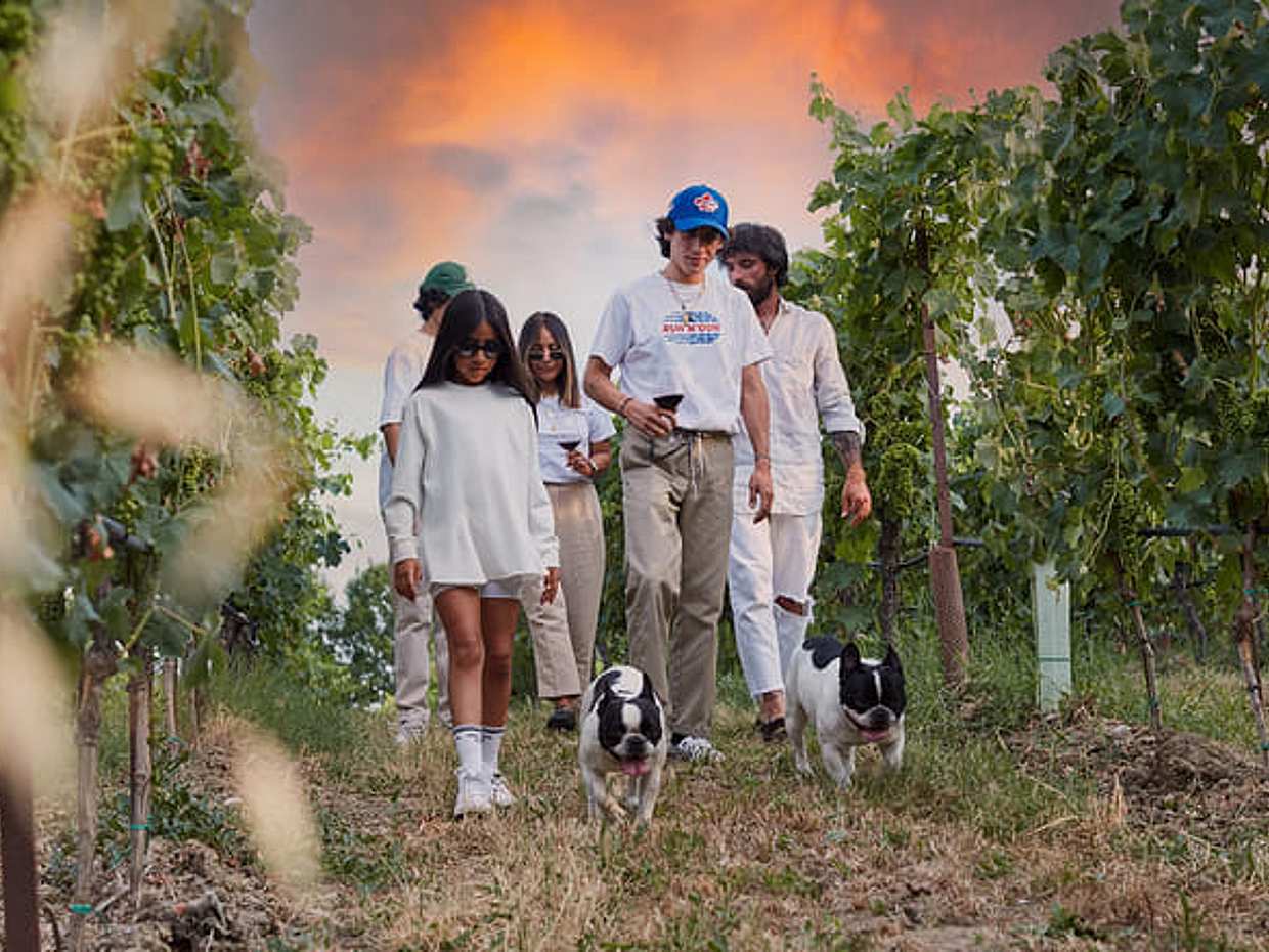 Tasting of Lugana wines with cellar tour near Sirmione, photo 4