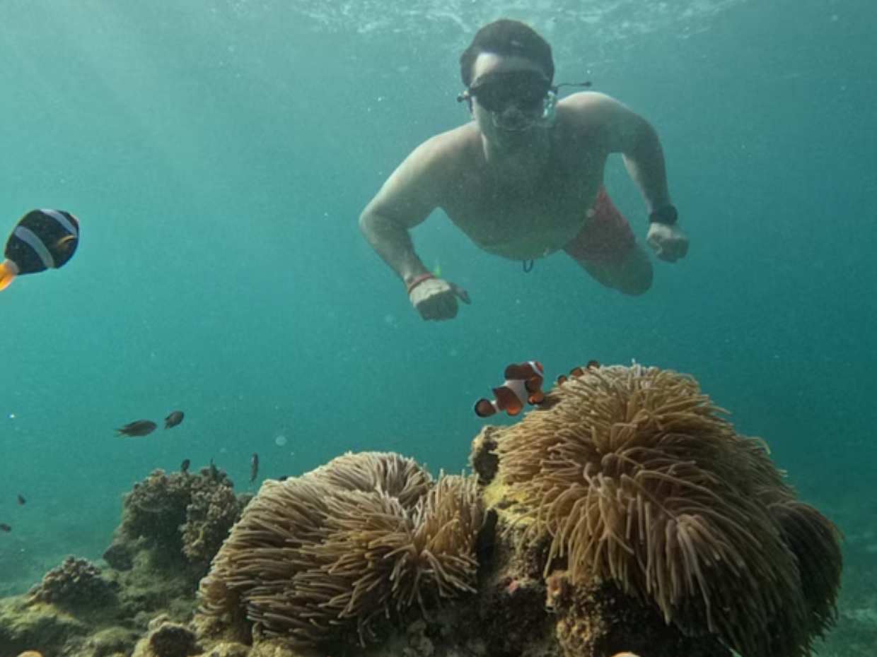 4 Island Sunset Snorkeling Cruise + Bioluminescent Night Snorkel στην Ταϊλάνδη, Krabi
, photo 4