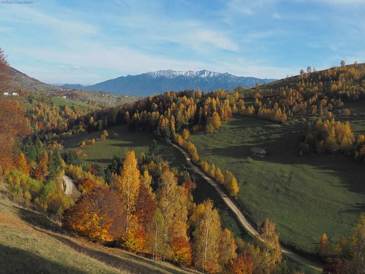 Vanuit Brasov: tweedaagse begeleide trektocht in Piatra Craiului National Park - Eco-gecertificeerd programma in Roemenië, Brașov, photo 3