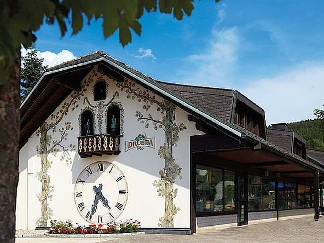 Excursión privada de día completo desde Zúrich al lago Titisee en la Selva Negra en Suiza, Zúrich, photo 4