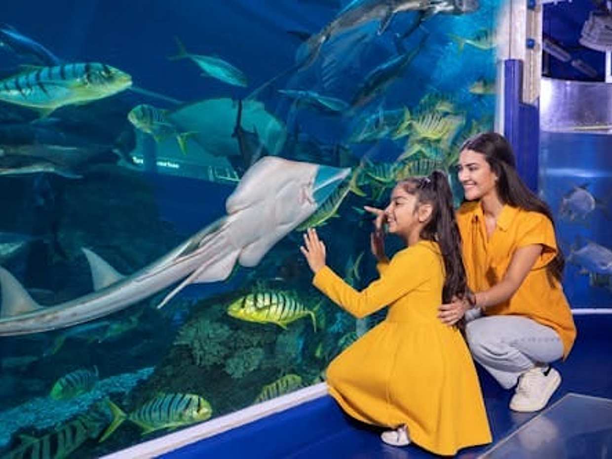Burj Khalifa and Dubai Aquarium Combo Admission Ticket in United Arab Emirates, photo 5