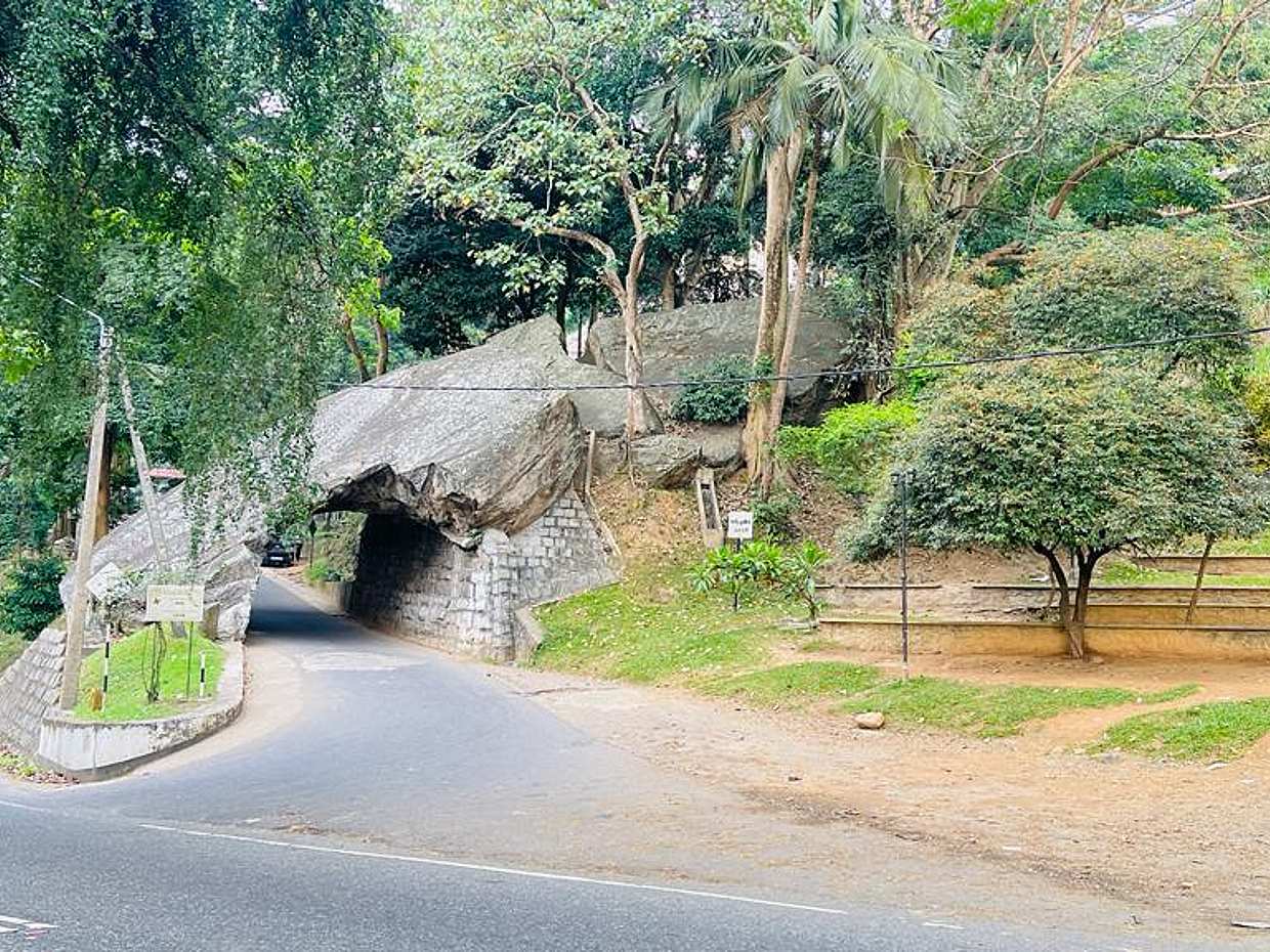 Eintägige Tour in Kandy in Sri Lanka, photo 5