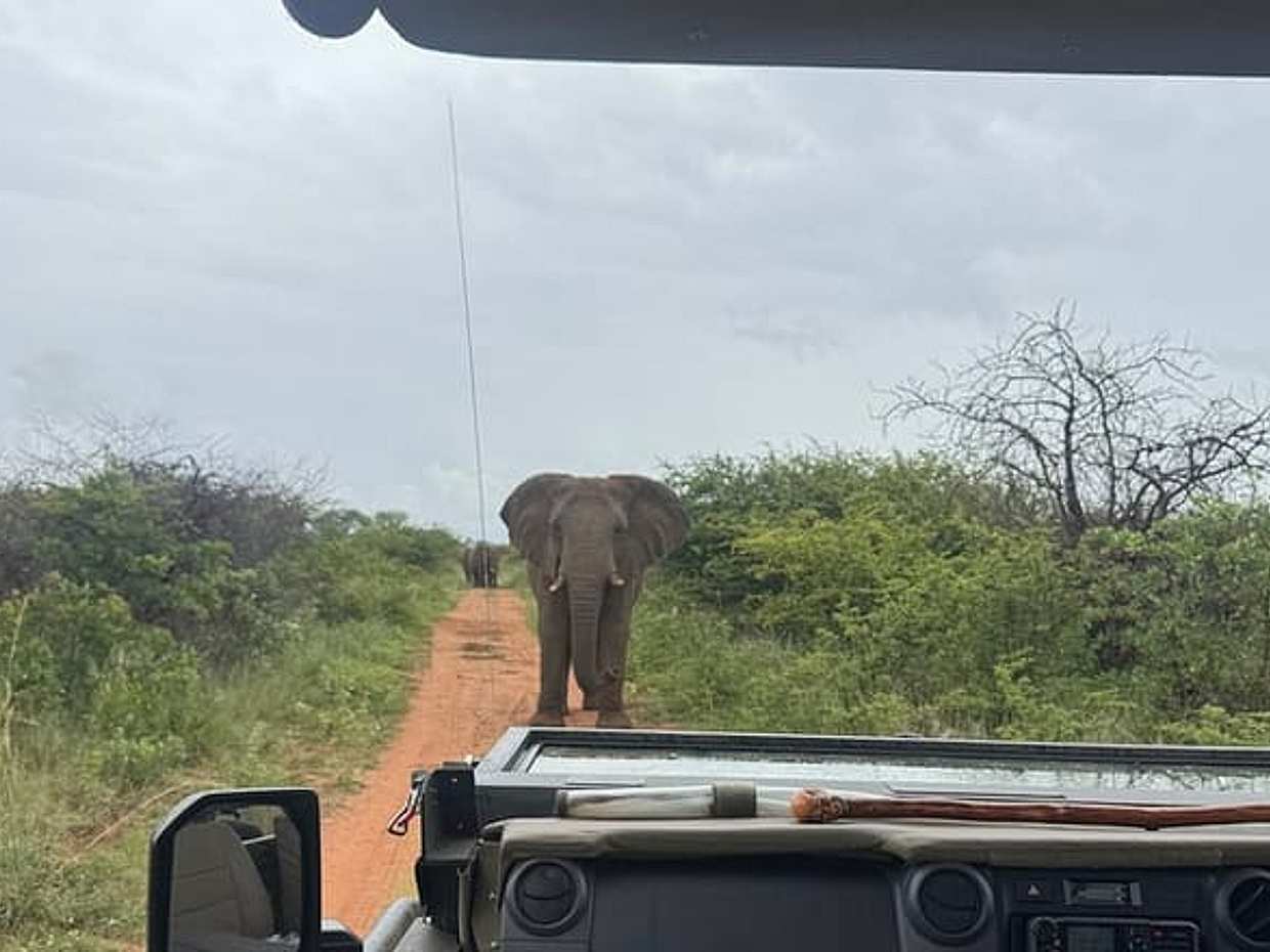 Dinokeng Game Reserve Tour from Sandton in South Africa, Gauteng, photo 2