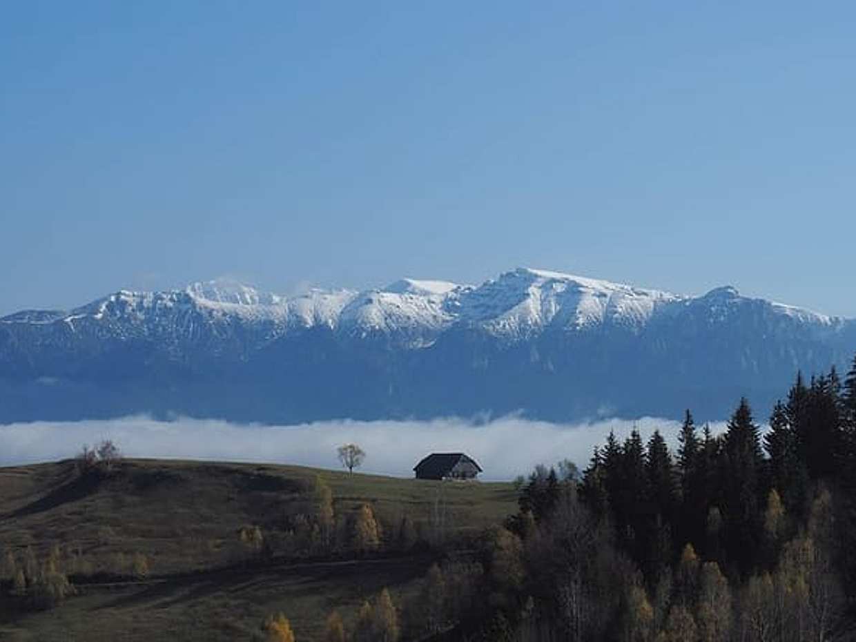 4-Day Carpathian Trek: Bucegi Mountains and Piatra Craiului National Park in Romania, Brașov, photo 3