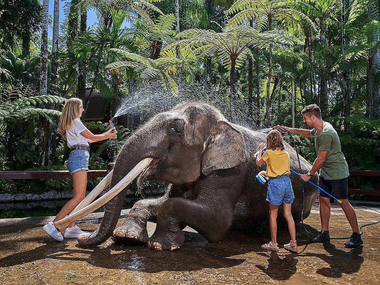 Bali Elephant Safari Park Tour Valentine's Day Tour, Indonesia, photo 2