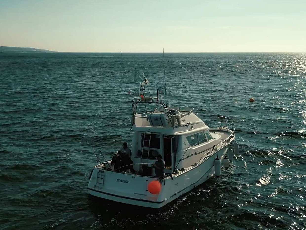 4 hour Private Fishing Trip- Up to 10 people in Portugal, Cascais, photo 3
