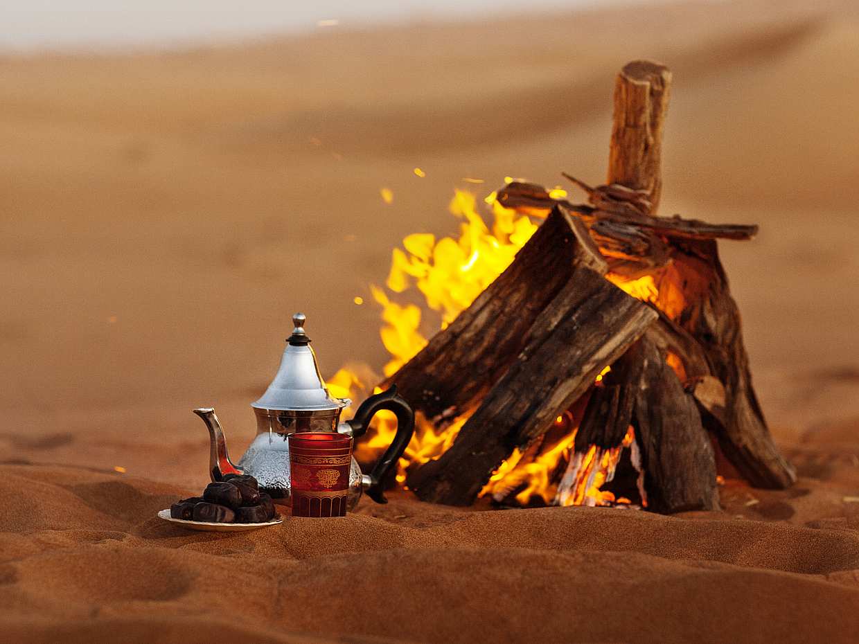 Private Liwa Full-day Desert Safari in Abu Dhabi, United Arab Emirates, photo 2