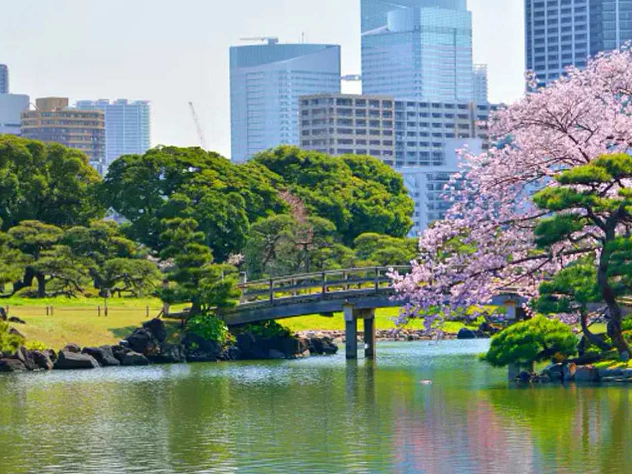 Personalized Tokyo City Tour with Assistant by Public Transportation in Japan, Personalized City Tour by Car, photo 2