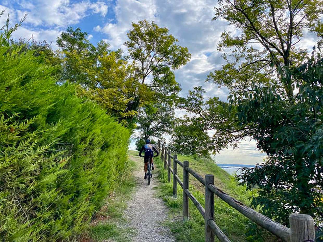 E-Bike tour from Desenzano with Wine Tasting, photo 5