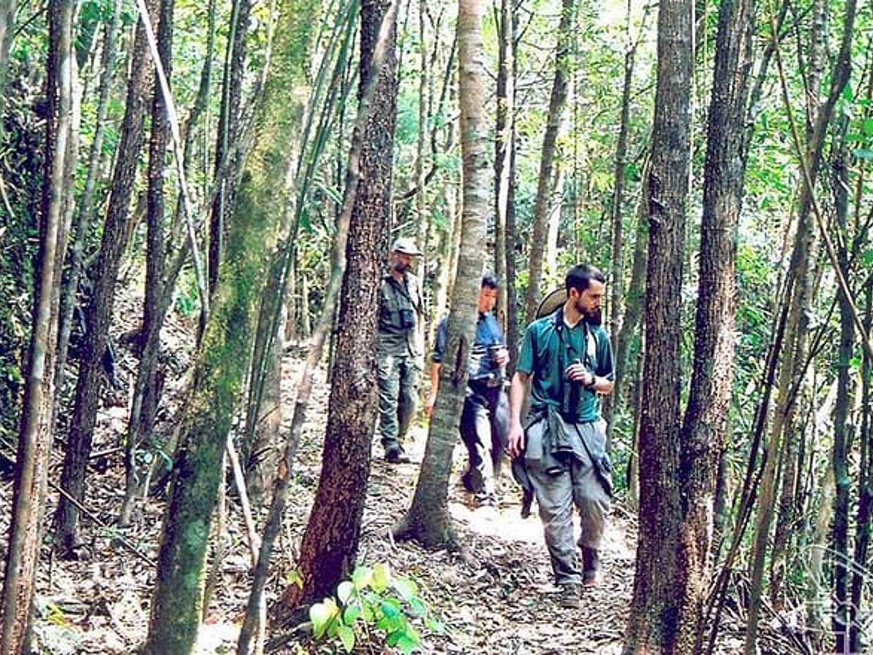 Full day: Hoi An - Bach Ma National Park, photo 4