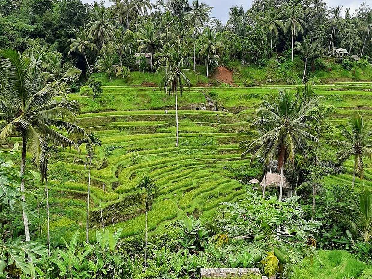 Ubud Adventure and Nature in Bali, Indonesia, photo 4