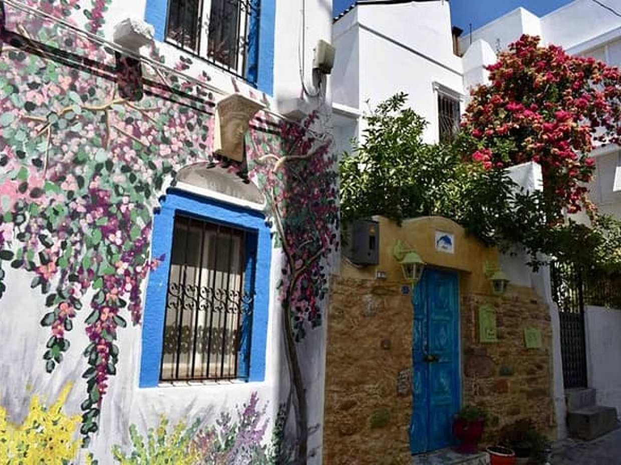 Bodrum City Private Tour For Cruise Passengers with TICKET, photo 4