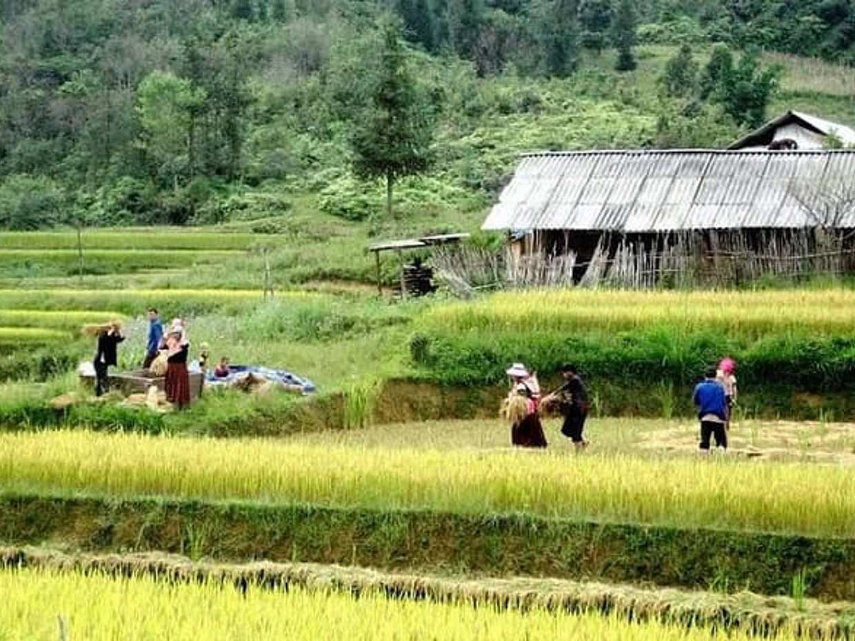Authentic Sapa Trekking With Local Family Homestay (2d1n by bus)