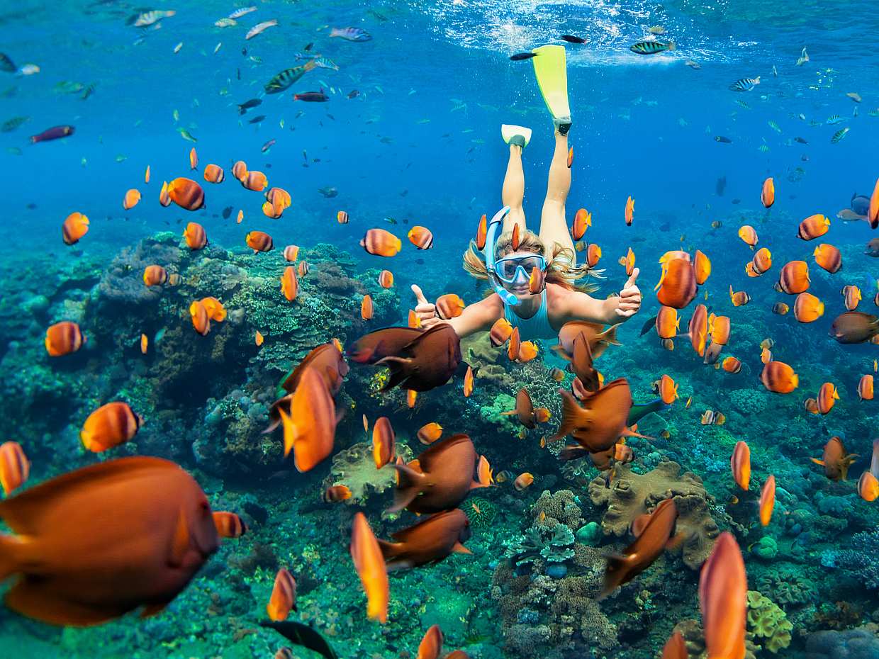 Snorkeling Tour to Ras Mohamed and White Island by Boat in Egypt, Sharm El-Sheikh