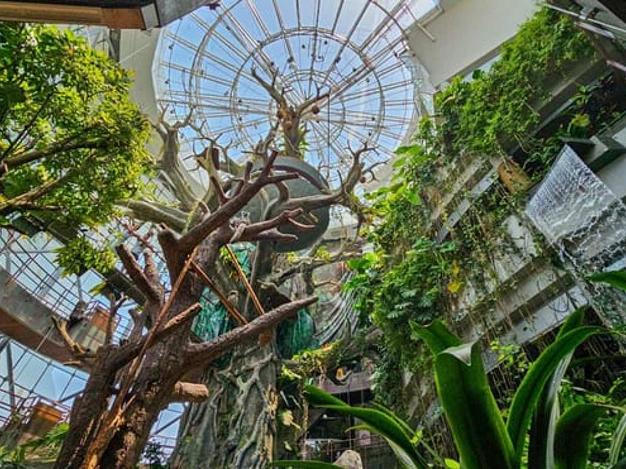 The Green Planet位于阿拉伯联合酋长国迪拜。