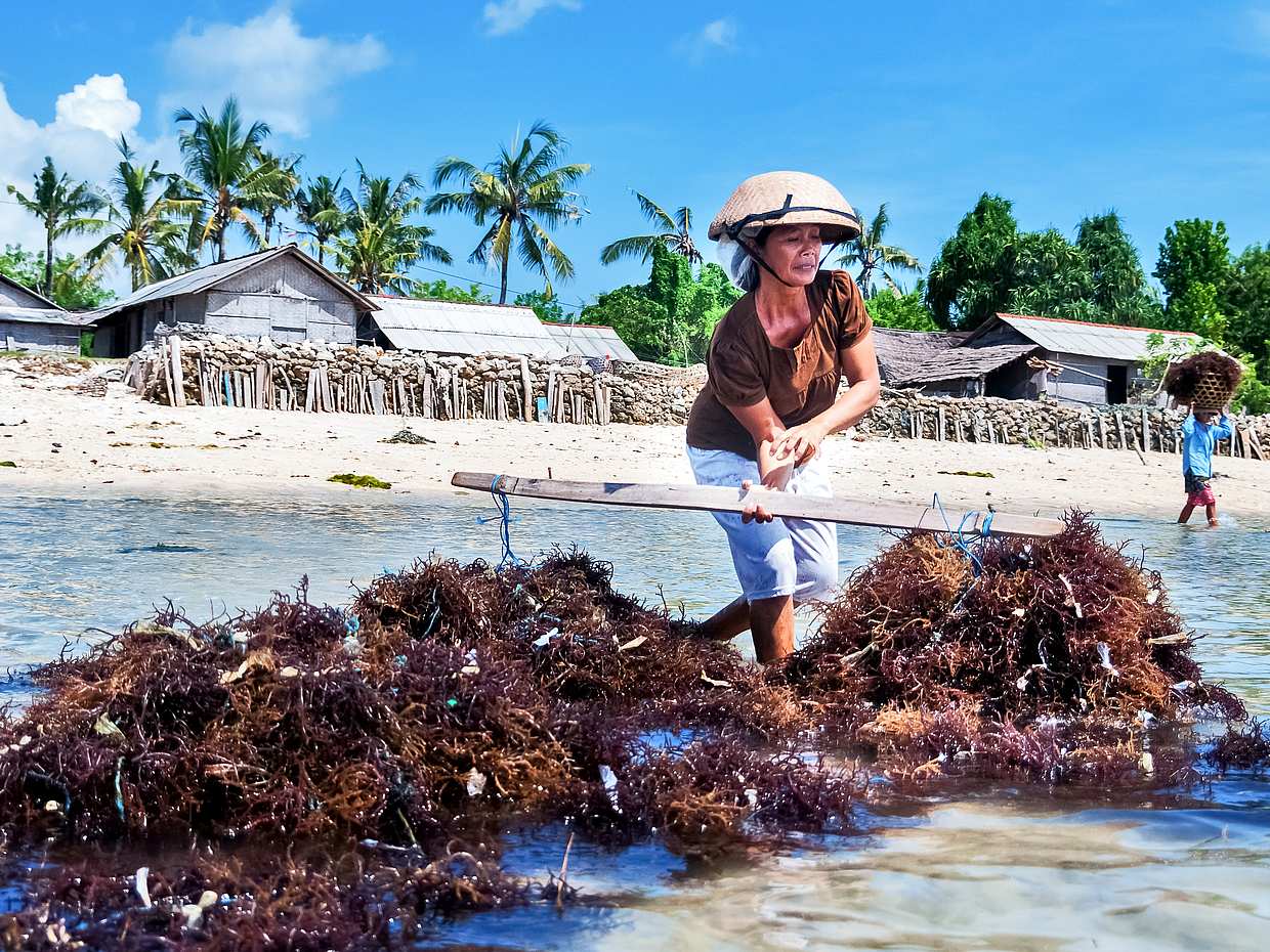 Nusa Lembongan: transfer de lancha ida e volta, photo 2