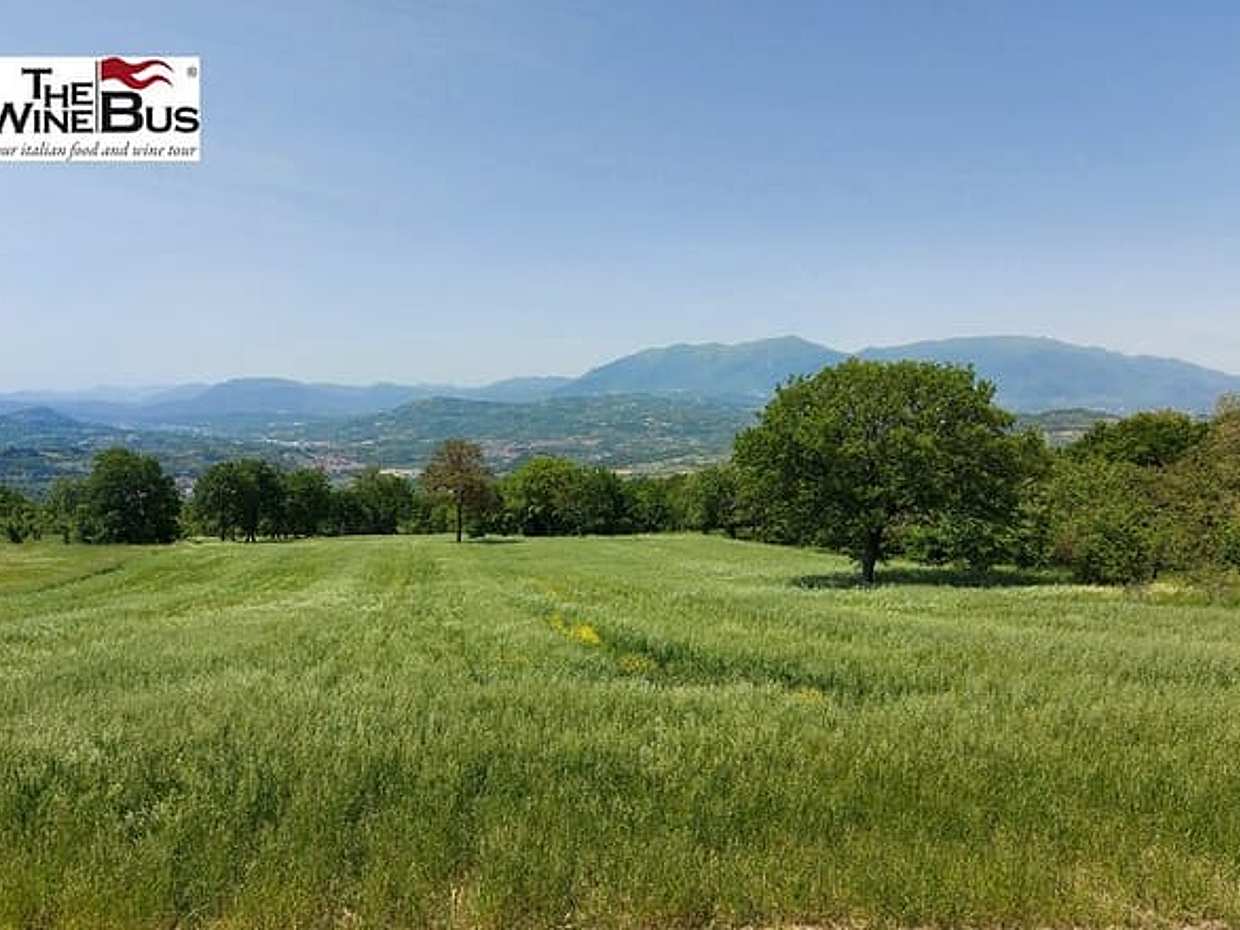 Private Irpinia Gourmet Tour from POSITANO, PRAIANO or AMALFI, photo 4