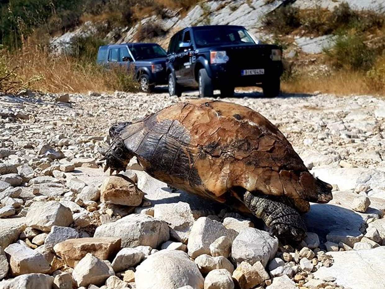 Severozápadní Korfu: Pobřežní sny a vesnické kouzlo s pohonem 4x4 v Řecku