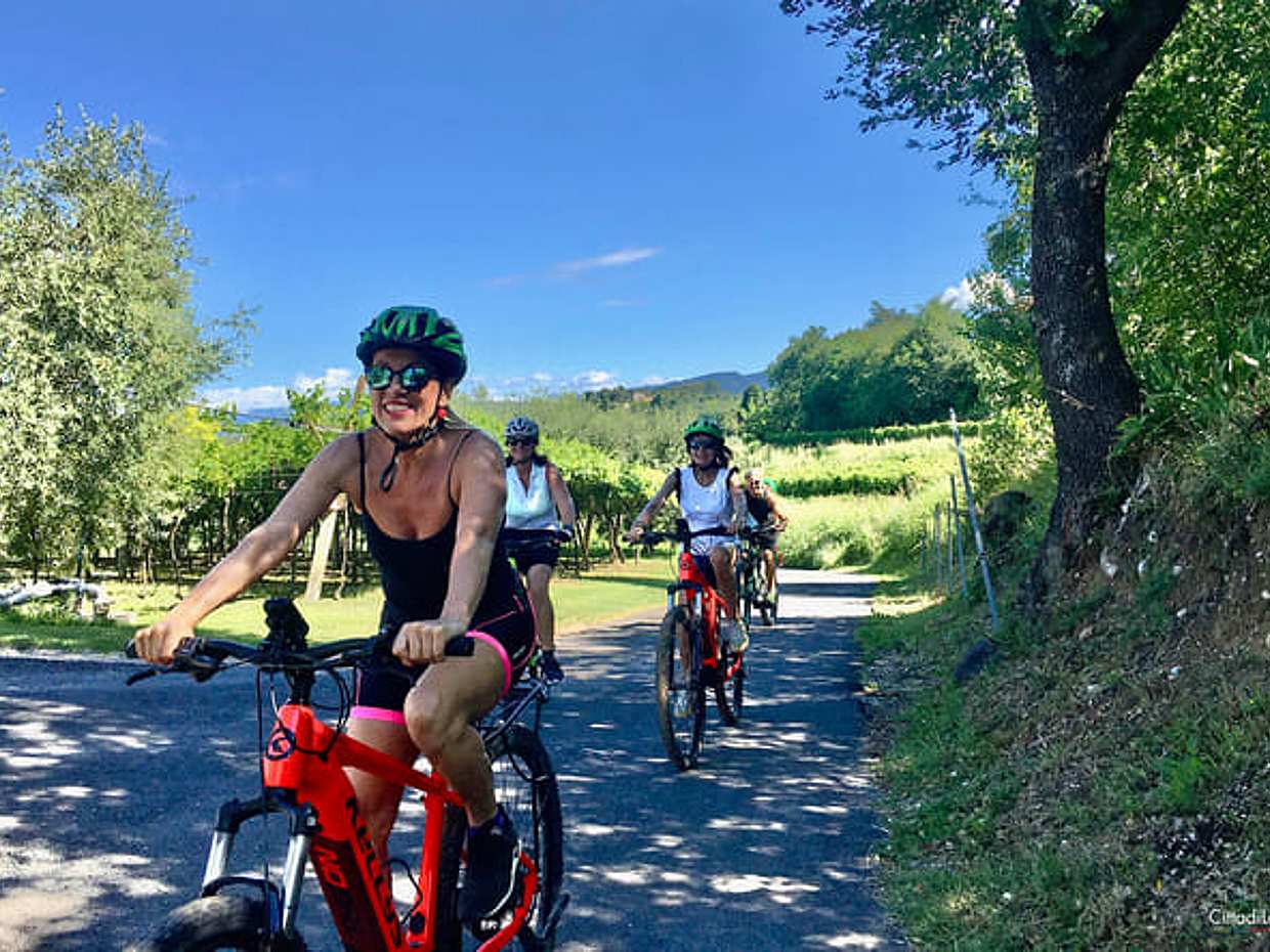 E-Bike tour and wine tasting in Lazise