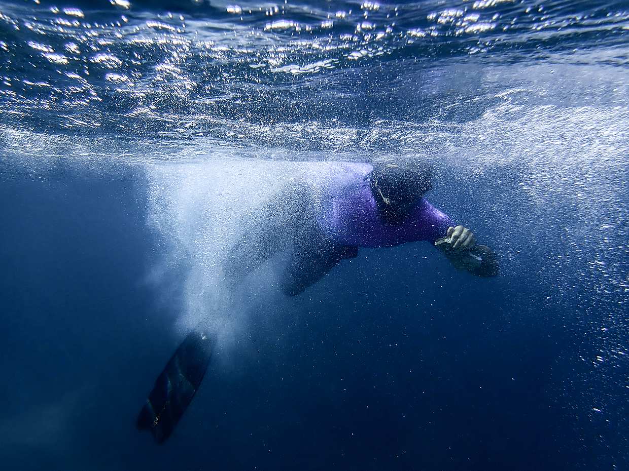 Wycieczka Snorkelingowa w Gorących Źródłach na Islandii, Wycieczka Snorkelingowa w Reykjavíku.
, photo 5