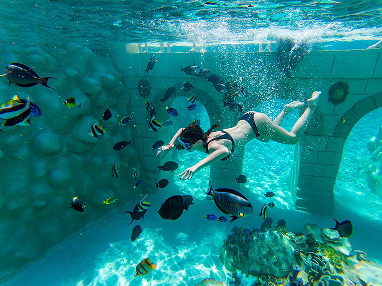 Seapark: Swimming in Pool Aquarium with Authentic Creatures in Turkey, Side