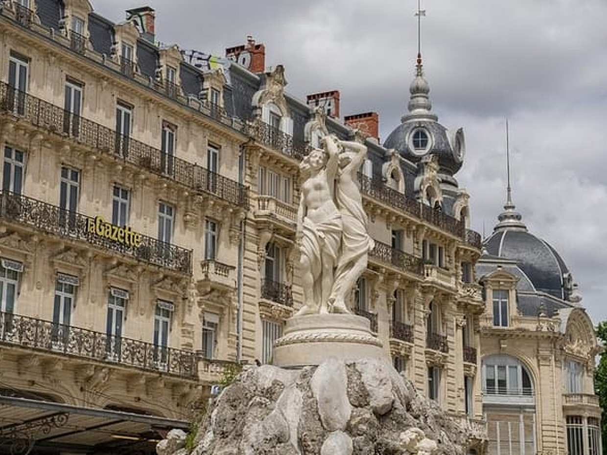 Private Direct Transfer From Lyon to Montpellier in France, photo 4