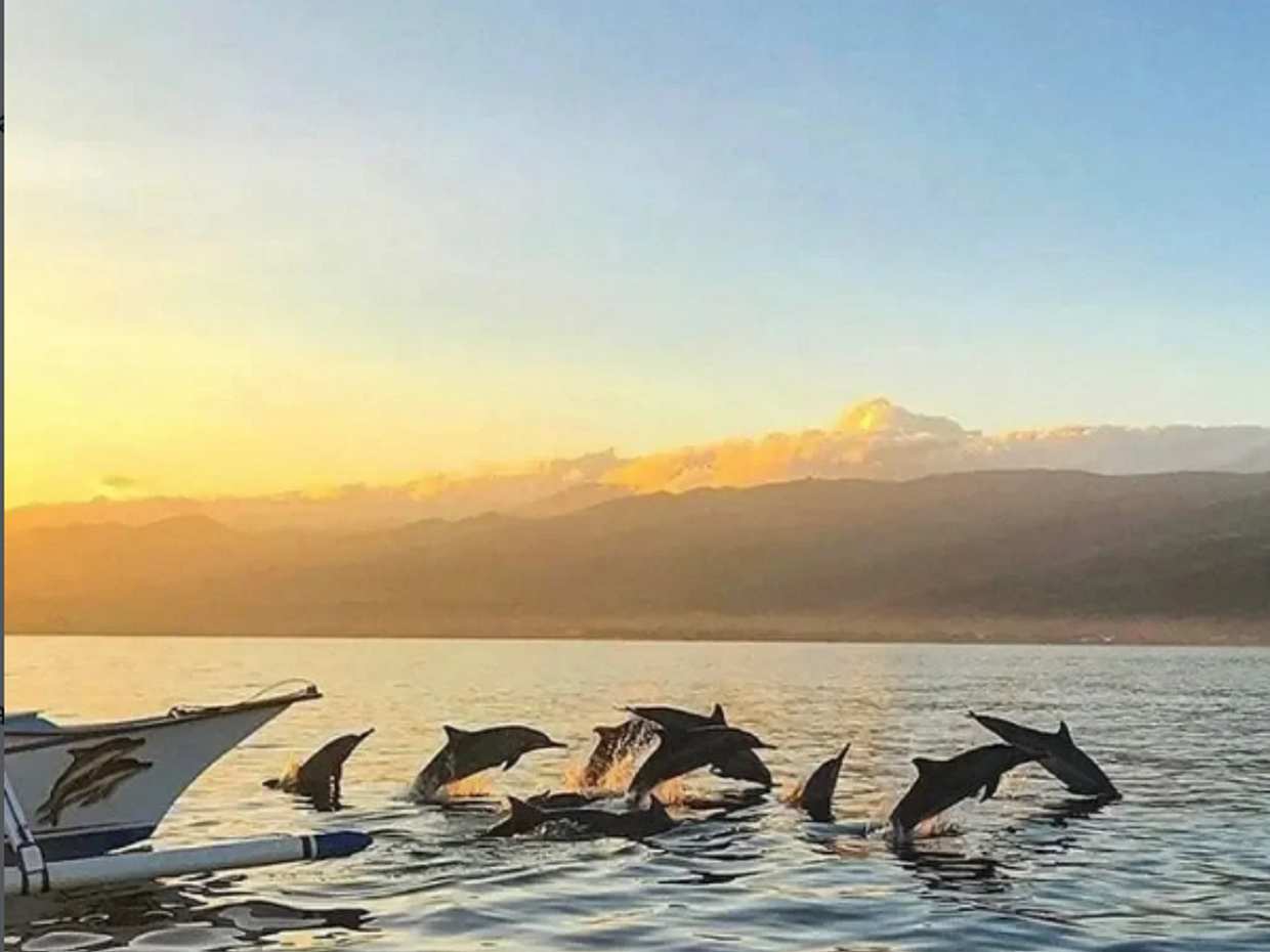 Lovina Dolphin Sunrise Tour in Indonesia, Bali, photo 3