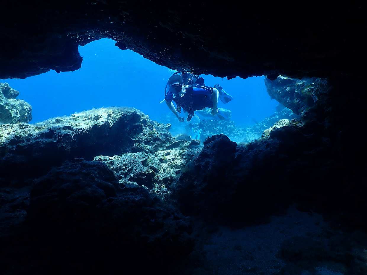Guided Scuba Diving Tours (Certified divers), photo 2