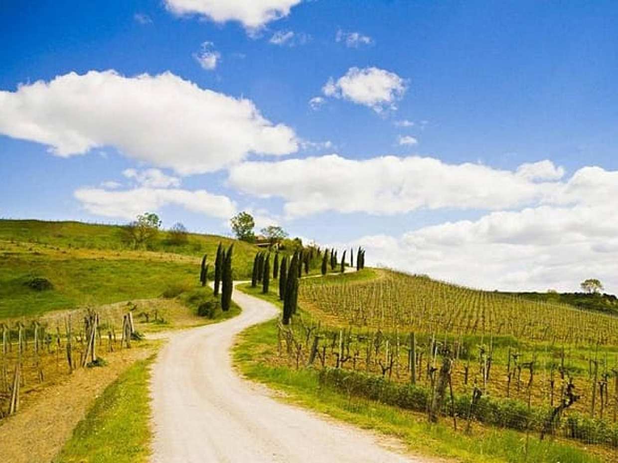 Recorrido en bicicleta por Chianti desde Florencia, Italia, photo 5