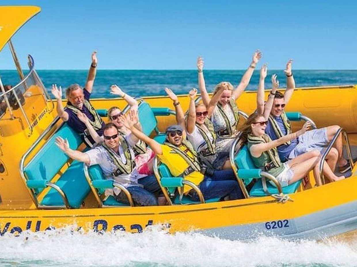 The Yellow Boat 60-min the Marina cruise