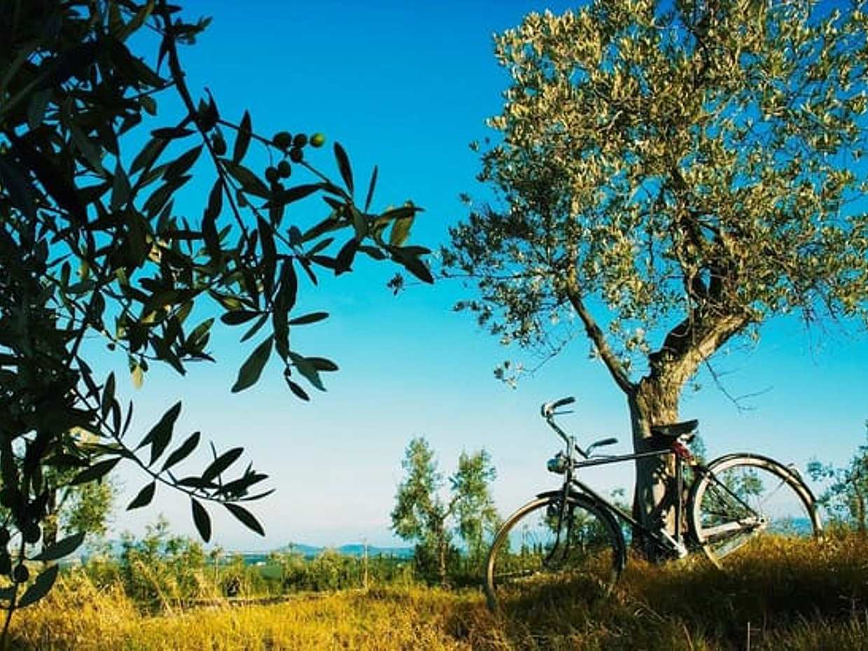 2-Day Private Taste of Tuscany: Hills, Truffles & Cooking Experience, photo 2