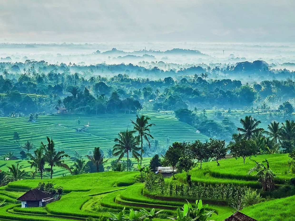 UNESCO World Heritage Tour of Bali in Indonesia, photo 3