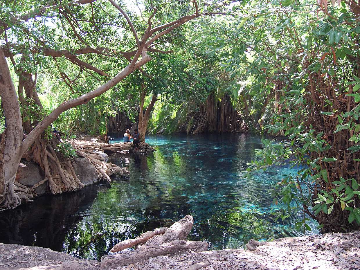 Kikuletwa (Chemka) Hot Springs Full-day Tour from Arusha in Tanzania, photo 2