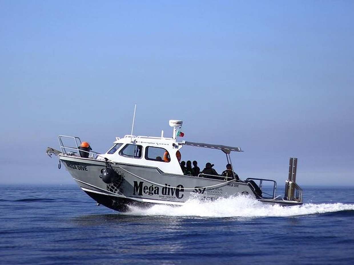 Boat Trip with Snorkel in Portugal, Sesimbra, photo 3