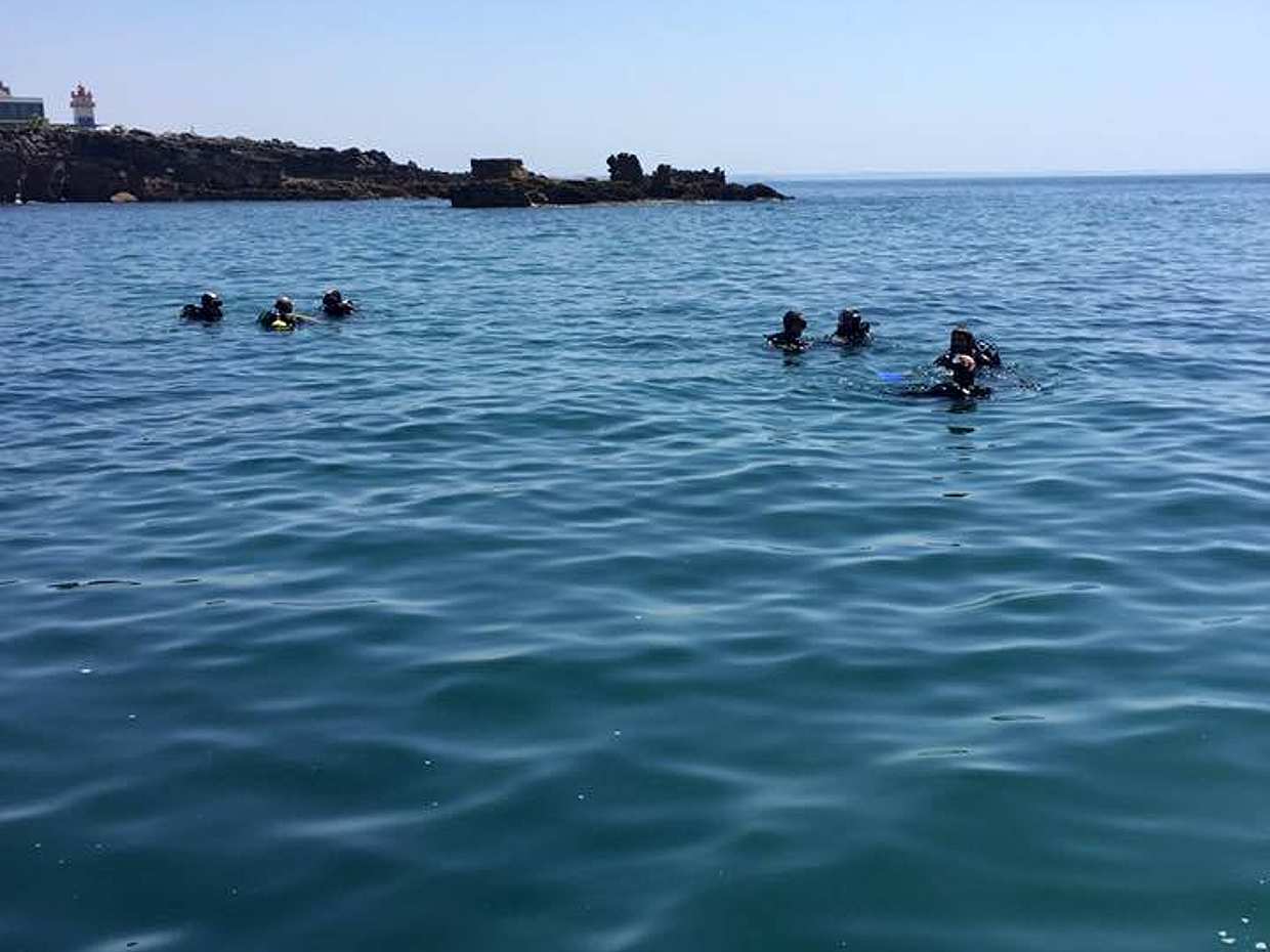 Become a Certified Open Water Diver from Madeira- Your Underwater Adventure Starts Here! in Portugal, photo 5