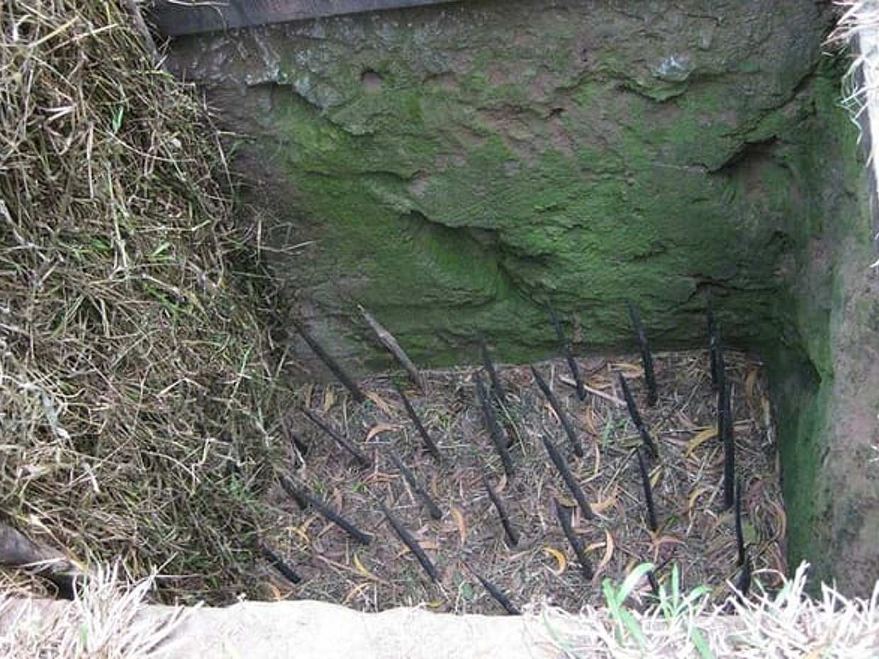 Cu Chi Tunnels Half Day Joining Tour, photo 4
