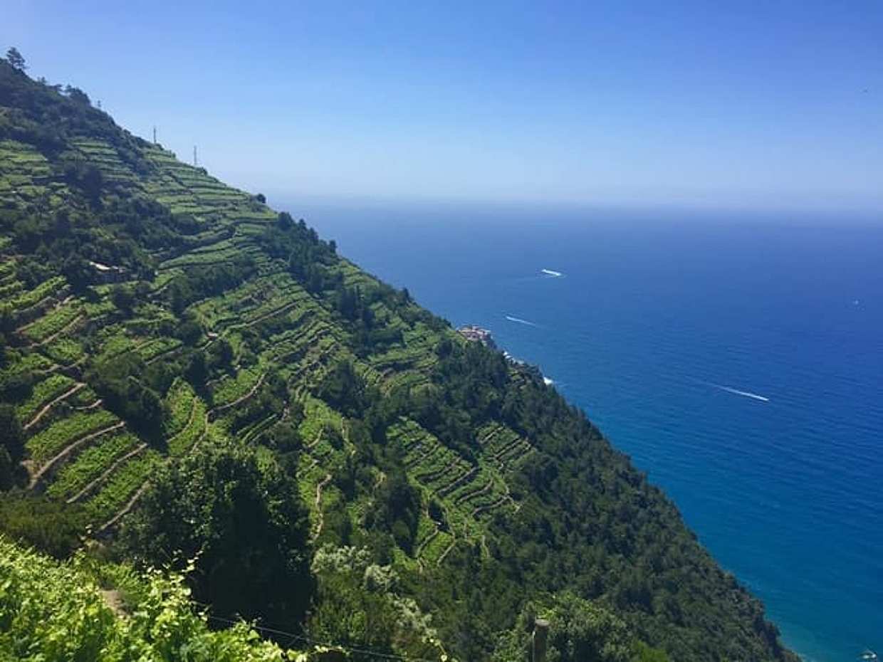 Cinque Terre Day Trip from Florence with Via dell’Amore Walk, photo 4